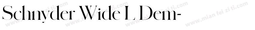 Schnyder Wide L Dem字体转换